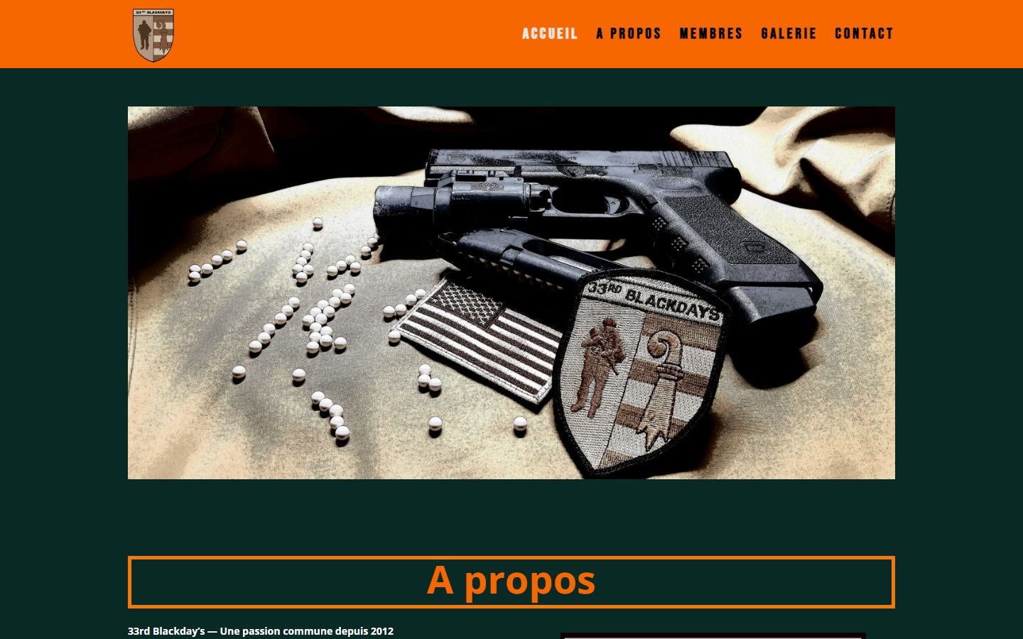 Page d'accueil du site 33rd Blackday's